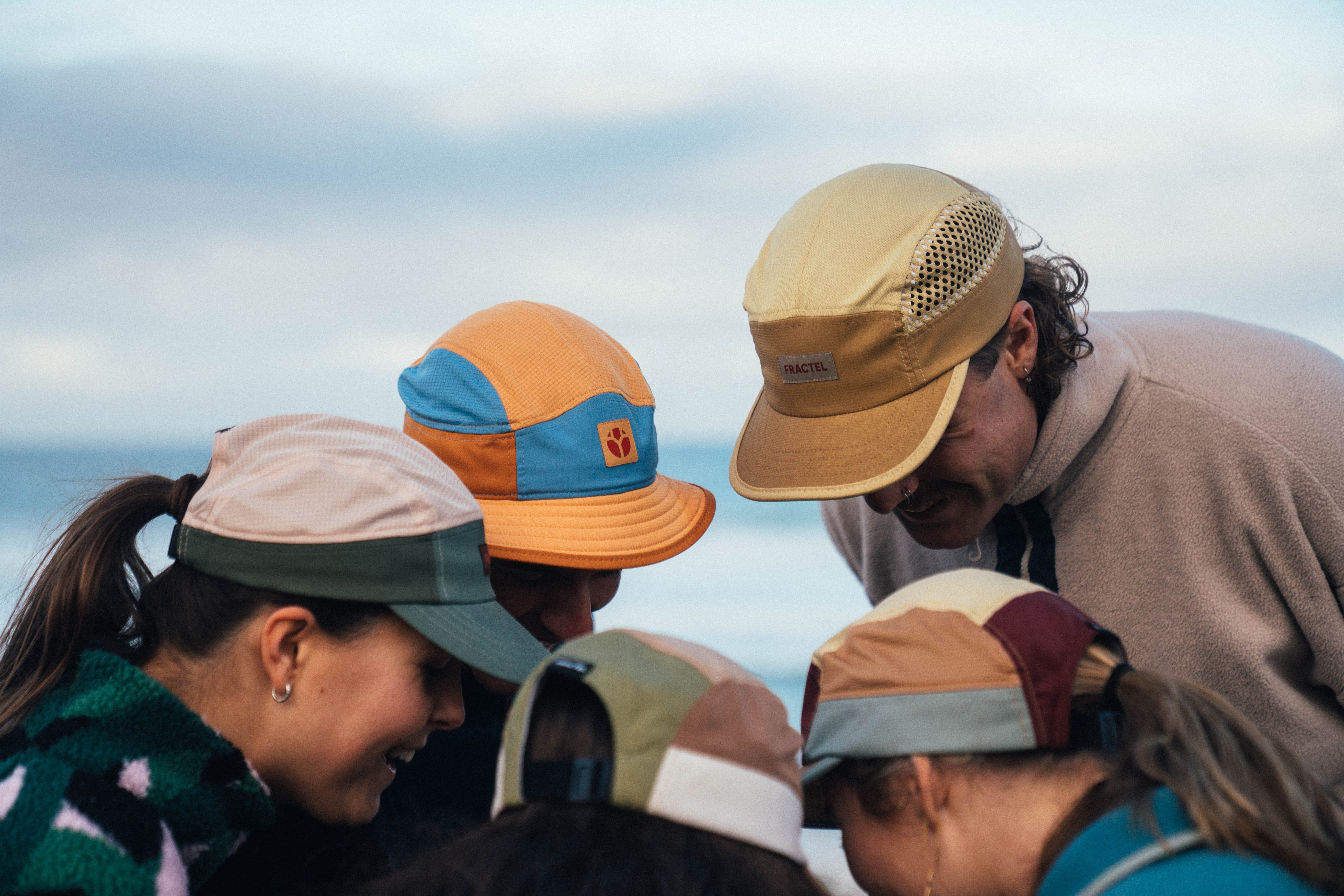 Australian Insect Collection